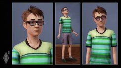 Die Sims 3