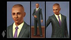 Die Sims 3