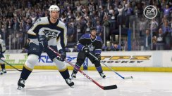 NHL 08