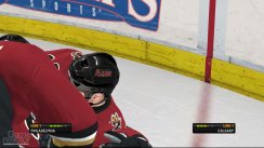 NHL 08