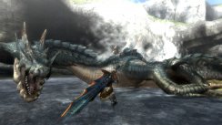 Monster Hunter Tri