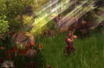 Die Siedler: Aufstieg eines K�nigreichs