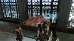 Assassin's Creed: Brotherhood