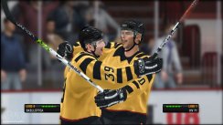 NHL 08