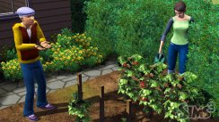 Die Sims 3