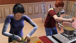 Die Sims 3