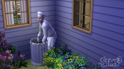 Die Sims 3