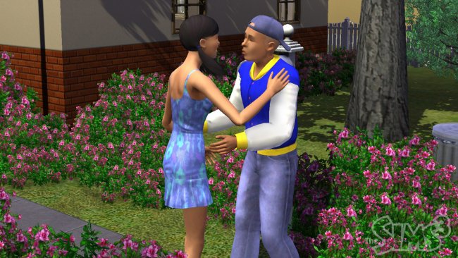 Die Sims 3
