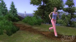 Die Sims 3