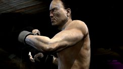 Supremacy MMA