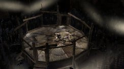 Supremacy MMA