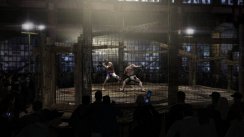 Supremacy MMA