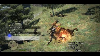 Dragon's Dogma