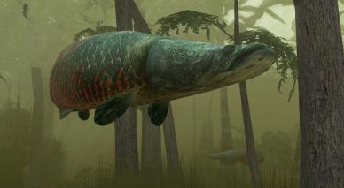 Endless Ocean 2: Der Ruf des Meeres