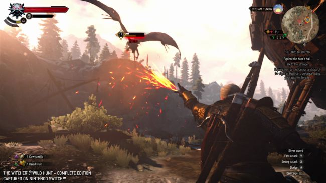 The Witcher 3: Wild Hunt