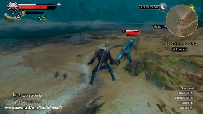 The Witcher 3: Wild Hunt