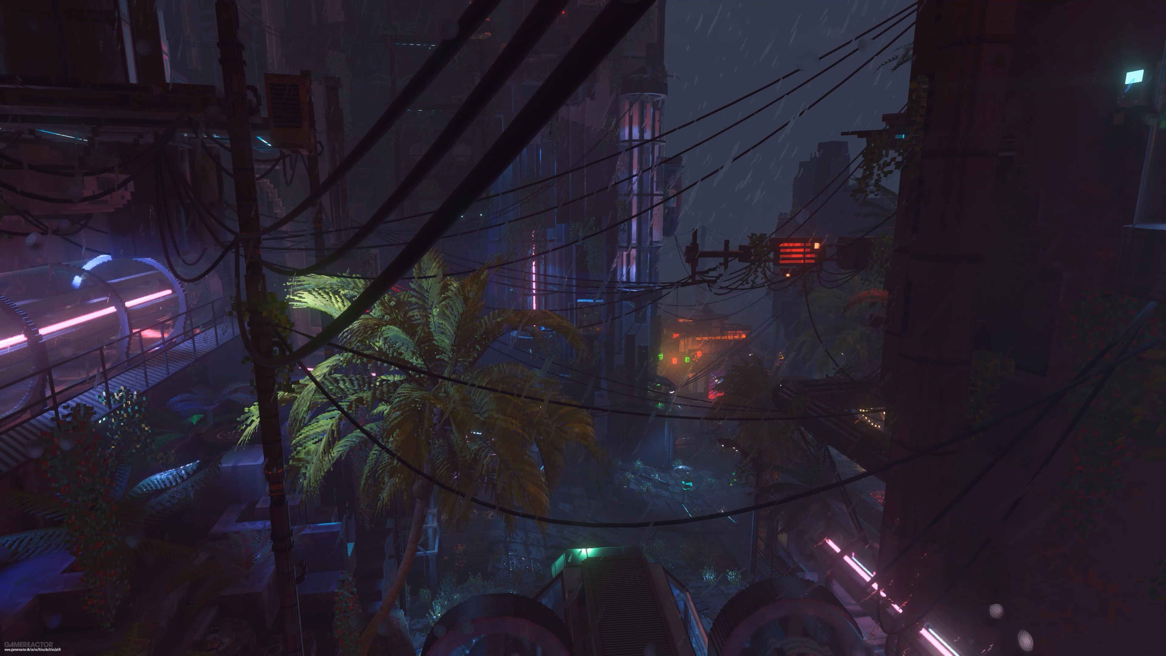 Nivalis Nights