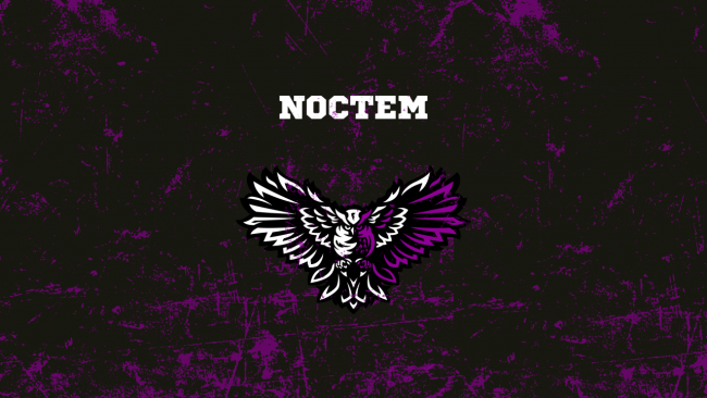 Die in Großbritannien ansässige Organisation Noctem Esports schließt
