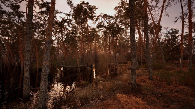 Stalker 2: Heart of Chornobyl