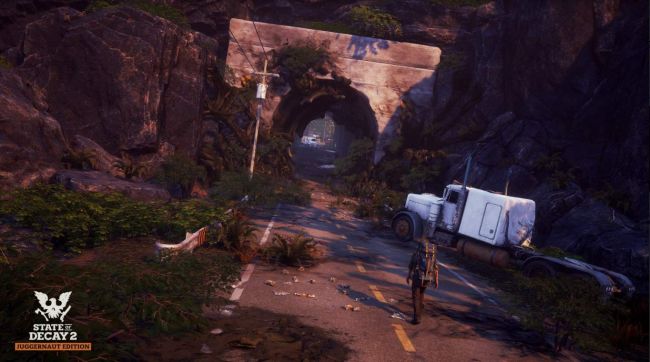 State of Decay 2