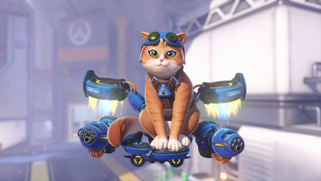 Einige Skins für Overwatchs Jetpack Cat werden von den eigenen Katzen der Entwickler inspiriert sein