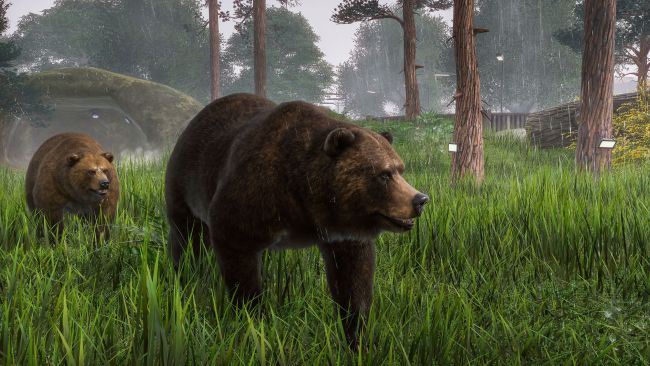 Bear macht einen Seitenhieb auf Gäste in Mexiko, nachdem er ihr Abendessen eingenommen hat