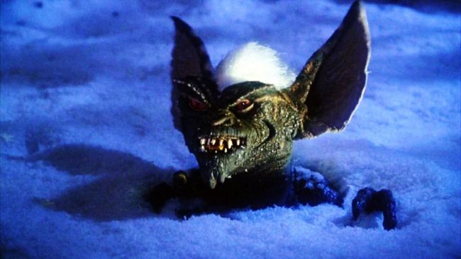 Gremlins wird nicht neu gestartet, solange Steven Spielberg und Chris Columbus da sind