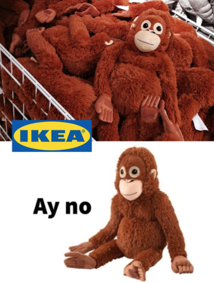 Wer ist Punch the Monkey? Der junge Makake, der fast berühmter geworden ist als Donald Trump