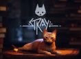 Stray ist jetzt für Xbox verfügbar