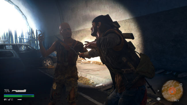 Days Gone