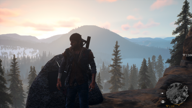 Days Gone