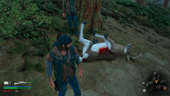 Days Gone