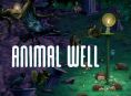 Wir machen eine Reise durch die Animal Well auf dem heutigen GR Live