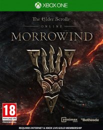 The Elder Scrolls Online: Morrowind