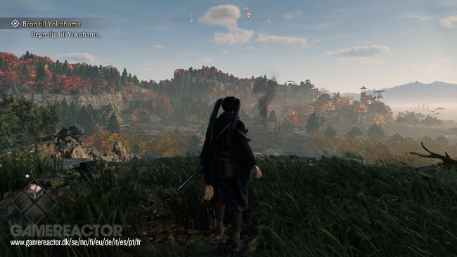 Rise of the Ronin