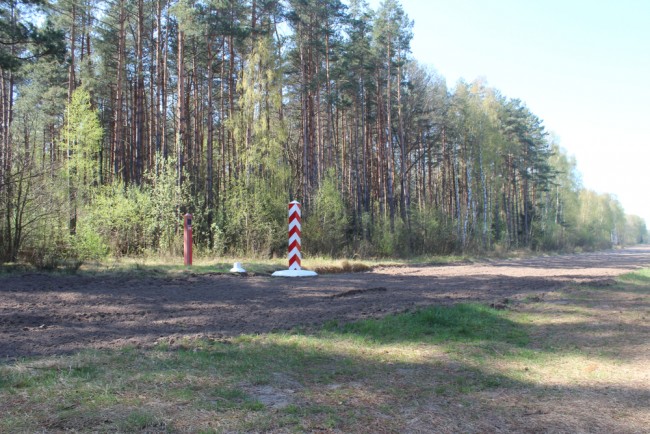 Polen schießt russische Drohnen ab, nachdem "große Anzahl" den Luftraum verletzt hat
