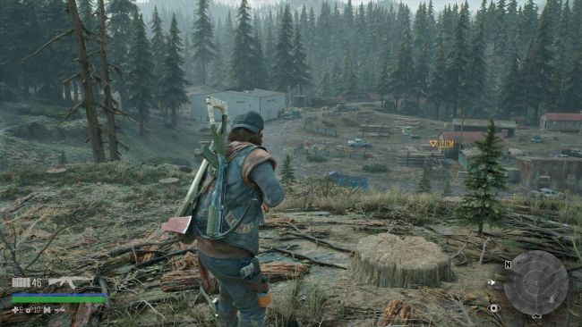 Days Gone