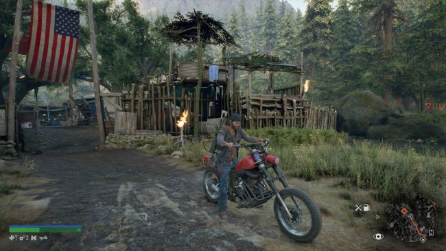 Days Gone