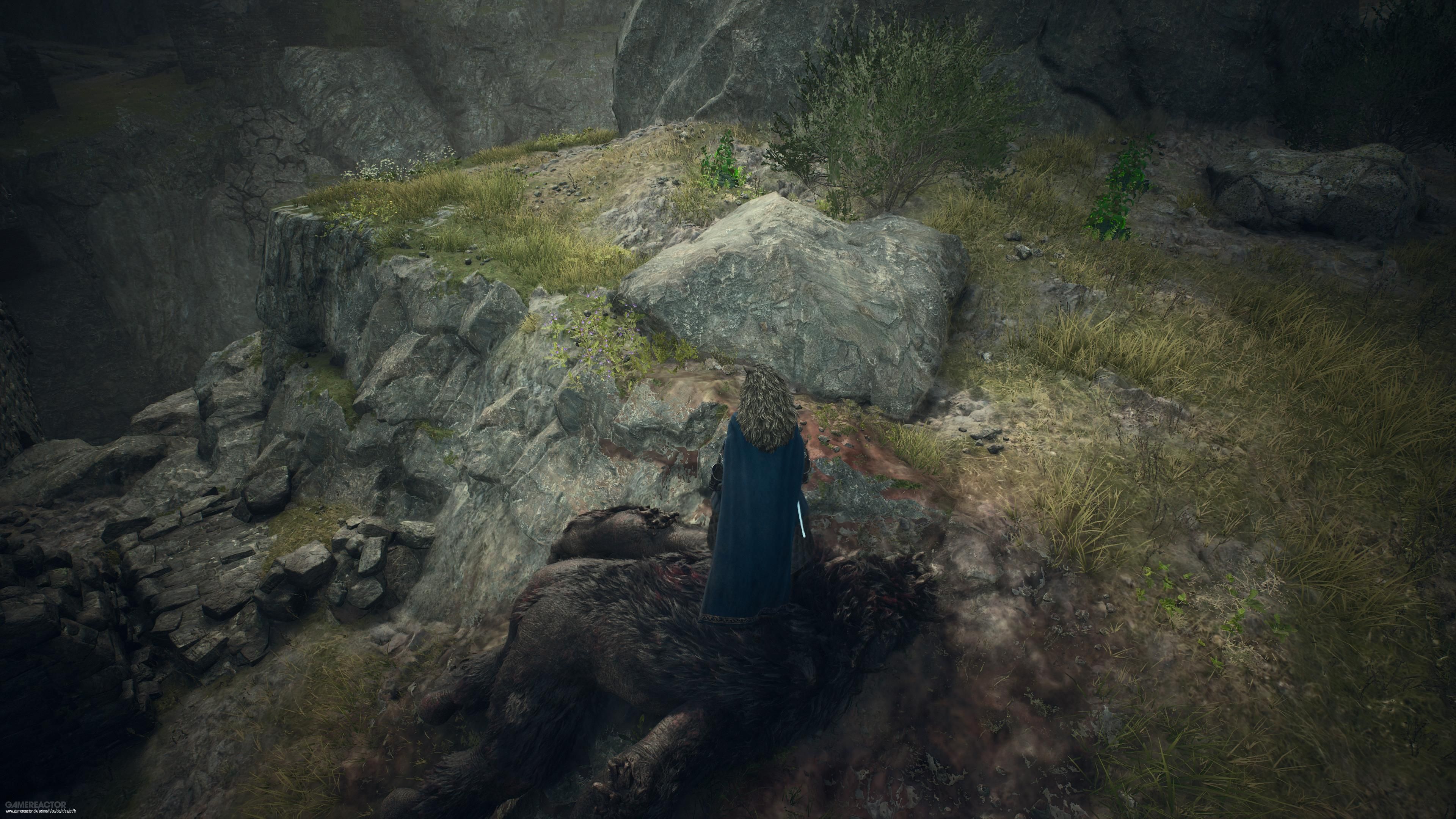 Dragon's Dogma 2