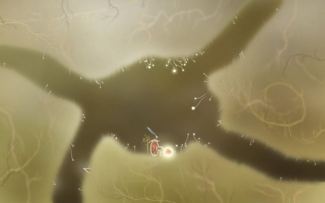 Botanicula