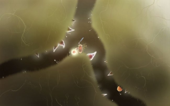 Botanicula