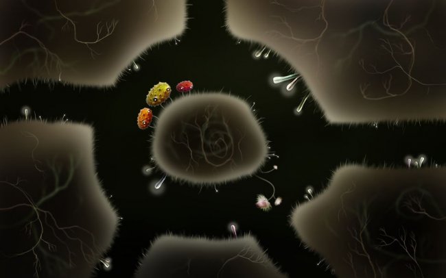 Botanicula
