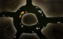 Related Image