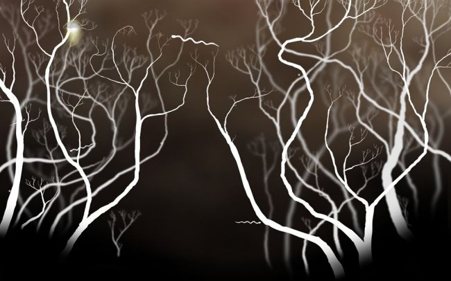 Botanicula