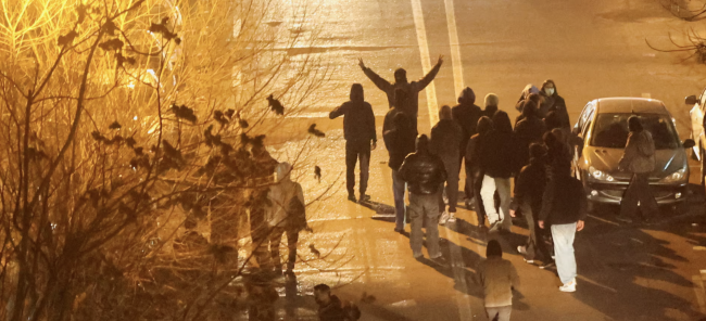 Iran gibt 2.000 Tote an, während die Proteste in die dritte Woche gehen