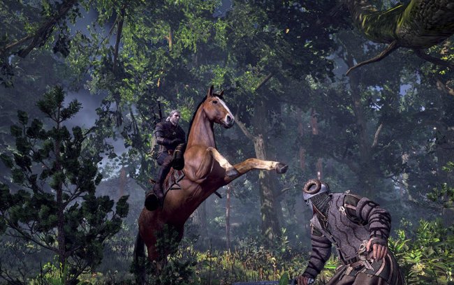 The Witcher 3: Wild Hunt