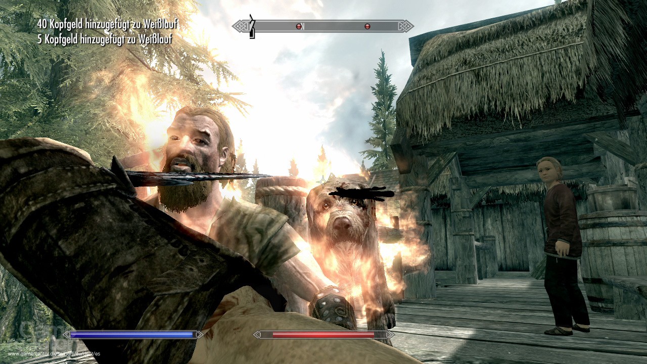 The Elder Scrolls V: Skyrim