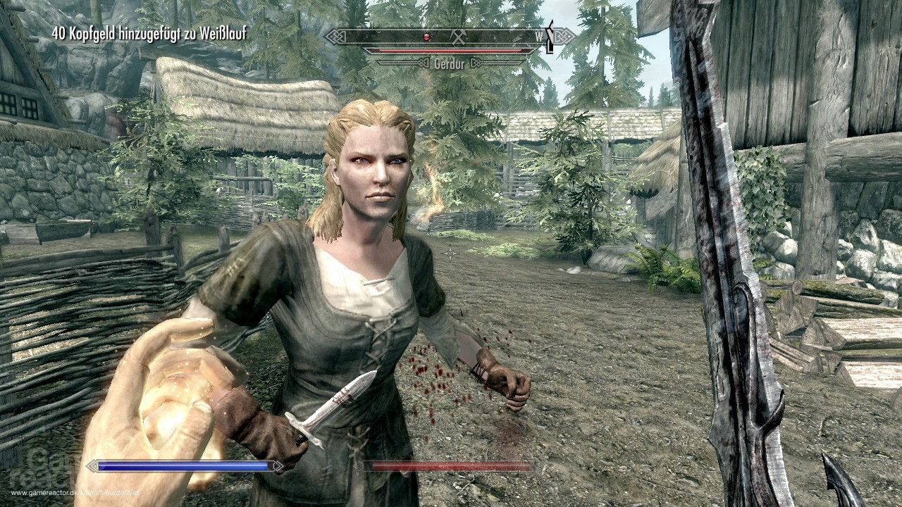 The Elder Scrolls V: Skyrim
