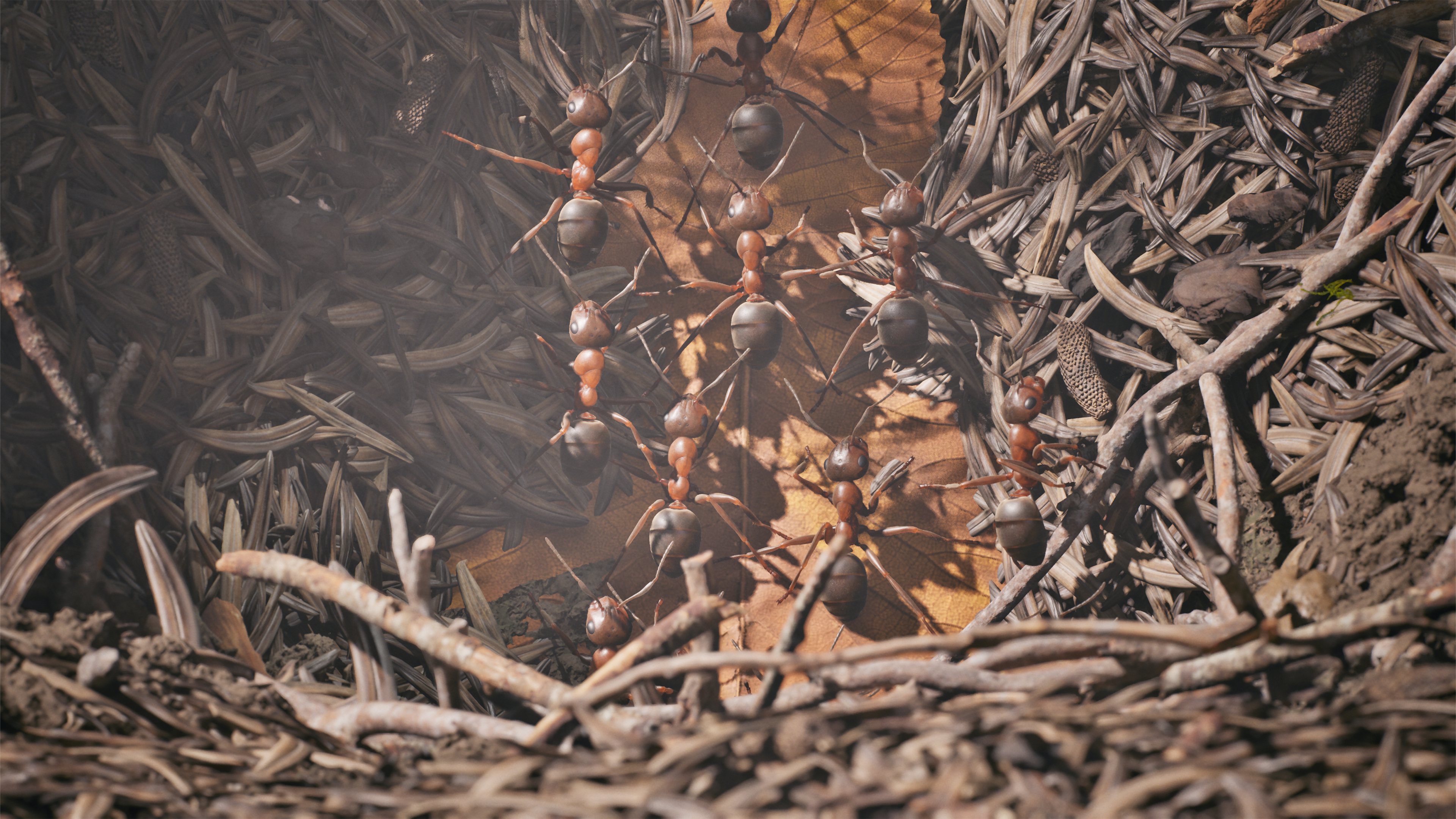 Empire of the Ants