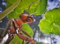 Empire of the Ants startet im November